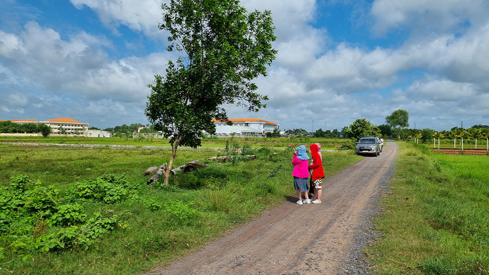 coi đất
