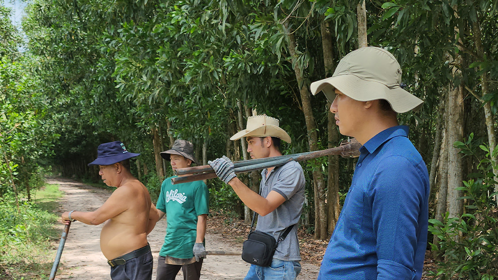 trồng trụ