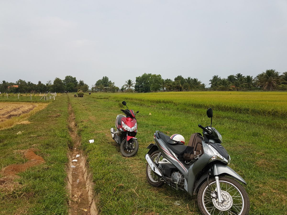 Xem đất ruộng tại xã Nhuận Đức