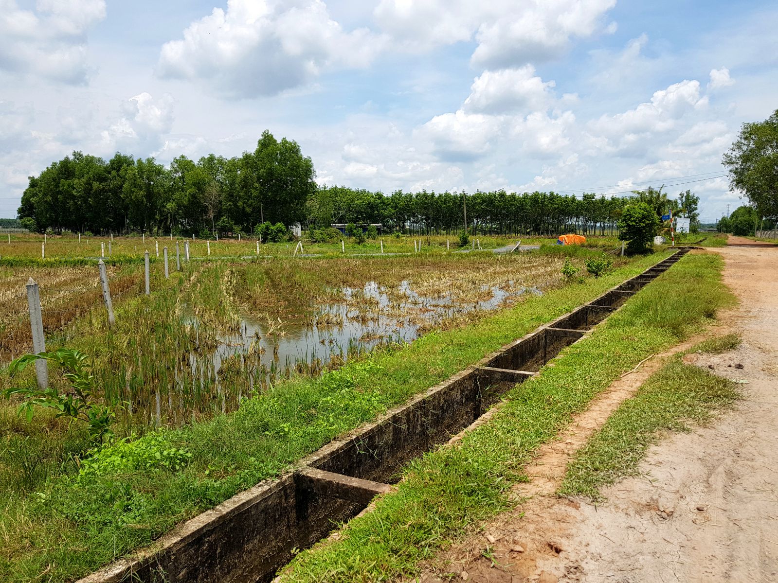 Đất cây hằng năm đường Đoàn Thị Mối