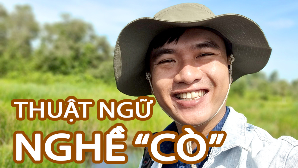 Thuật ngữ nghề Môi giới, Cò đất 