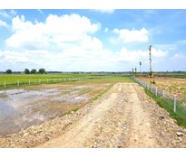 Tách thửa đất nông nghiệp Củ Chi - Phân khúc mới dành cho nhà đầu tư am hiểu thị trường.