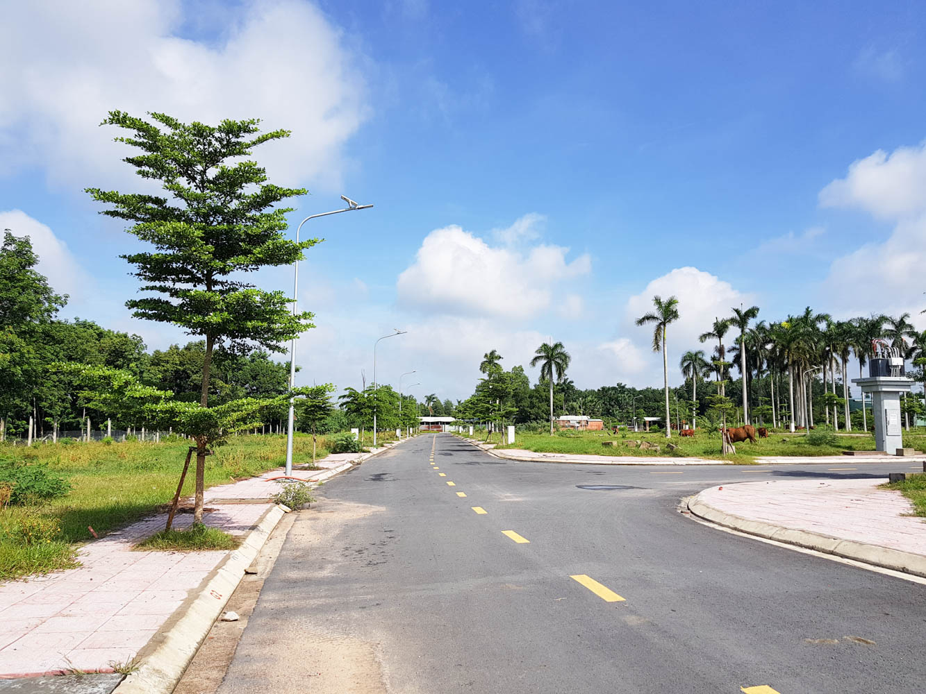 Kinh nghiệm chọn mua đất nền thổ cư tại Củ Chi của giới đầu tư chuyên nghiệp