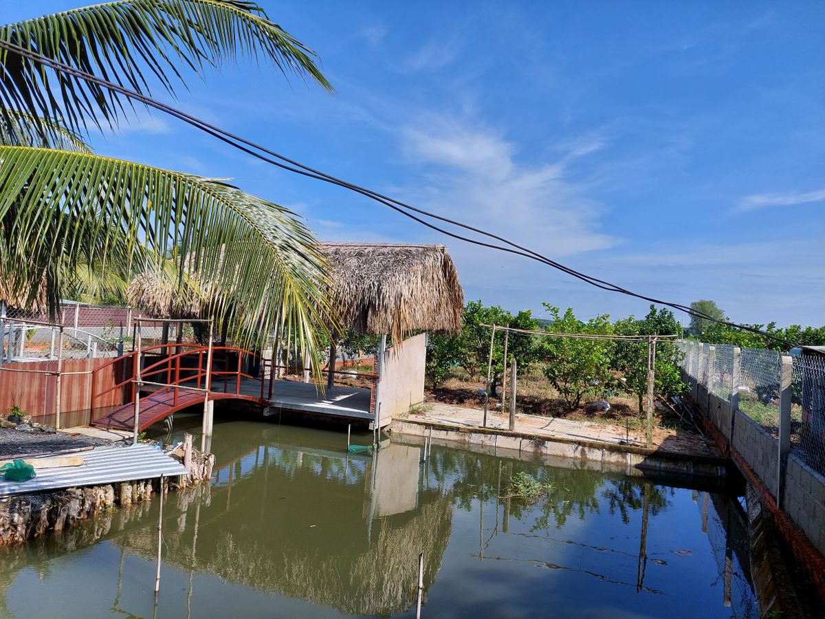 Đất vườn Củ Chi giá rẻ với những lưu ý và cơ hội gì ?