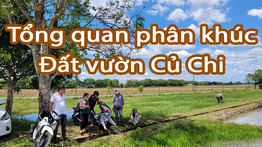 Tổng quan đất vườn Củ Chi - Phân khúc đất nông nghiệp giá rẻ