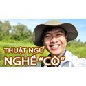 Thuật ngữ nghề Môi giới, Cò đất và một số thông tin cần thiết trước khi vào ngành !