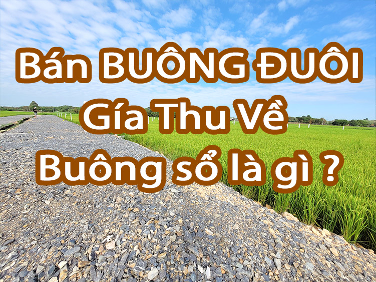 Bán đất buông đuôi, giá thu về, buông sổ là sao ?
