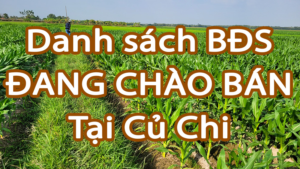 Bảng giá BĐS Củ Chi đang chào bán và ký gửi tại nhà đất Trung Hiếu