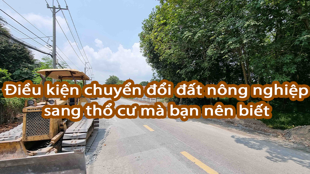 Đất nông nghiệp là gì ? Điều kiện chuyển đổi đất nông nghiệp sang thổ cư mà bạn nên biết.