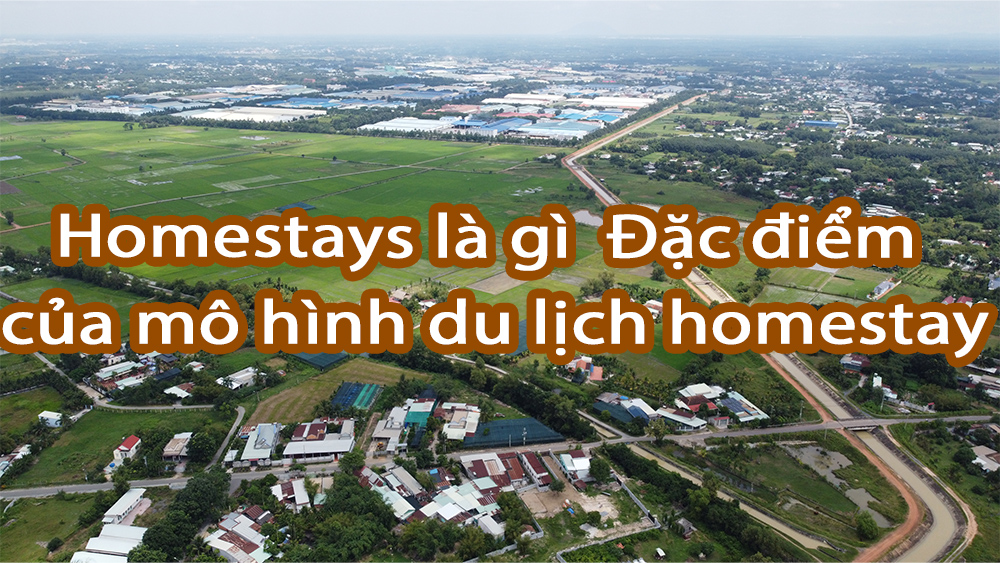Homestays là gì ? Đặc điểm của mô hình du lịch homestay