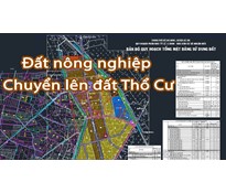 Đất nông nghiệp nào tại Củ Chi được chuyển lên thổ cư