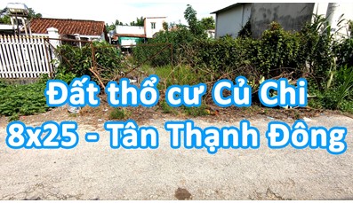 Đất nền thổ cư Củ Chi đường nhựa trung tâm xã Tân Thạnh Đông
