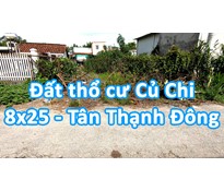 Đất nền thổ cư Củ Chi đường nhựa trung tâm xã Tân Thạnh Đông