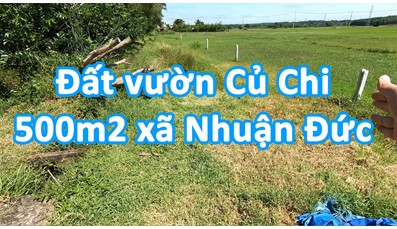 THCC08 Đất vườn Củ Chi 500m2 giáp ranh khu dân cư xã Nhuận Đức