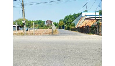 THCC119 Hai lô đất Củ Chi 98,9m2 và 95,1m2 liền kề tại xã Phú Hòa Đông có đường oto lớn (sổ hồng riêng)