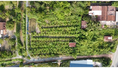 THCC05 Đất Củ Chi làm nhà vườn 1.977m2 xã Trung An đường oto (sổ hồng riêng)