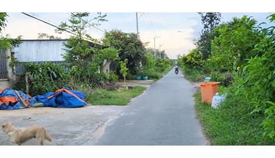 THCC07 Đất Củ Chi làm nhà vườn 452m2 có 200m thổ cư đường nhựa xã An Phú (có sổ hồng riêng)