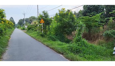 THCC07 Đất Củ Chi làm nhà vườn 452m2 có 200m thổ cư đường nhựa xã An Phú (có sổ hồng riêng)