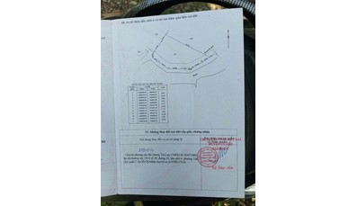 CC277 Bán đất vườn xã Bình Mỹ 1345m2 gần Vành đai và Hóc Môn mặt tiền kênh 70m oto vào tới đất