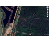 26CC11 Đất vườn xã Củ Chi 6378m2 