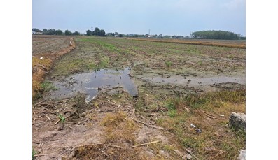 26CC20 Đất lúa xã Thái Mỹ 586m2 gần đường xe hơi