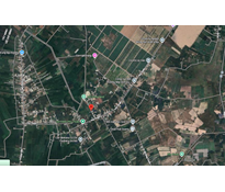 26CC23 Đất nền xã An Nhơn Tây có 101m2 thổ cư đường xe hơi gần khu dân cư đông đúc