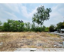 26CC28 Đất nền thổ cư xã Tân An Hội 91m2 thổ cư khu dân cư đường nhựa cách Nguyễn Văn Khạ 100m