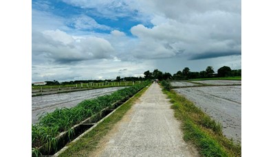 26CC35 Đất vườn xã Thái Mỹ 1000m2 gần khu dân cư và Quốc Lộ 22