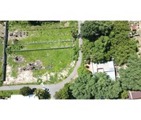 26CC56 Đất nền thổ cư xã Thái Mỹ 95m2 full thổ cư đường nhựa thông cách ngã 3 Tỉnh Lộ 7 Cây Trôm Mỹ Khánh 300m